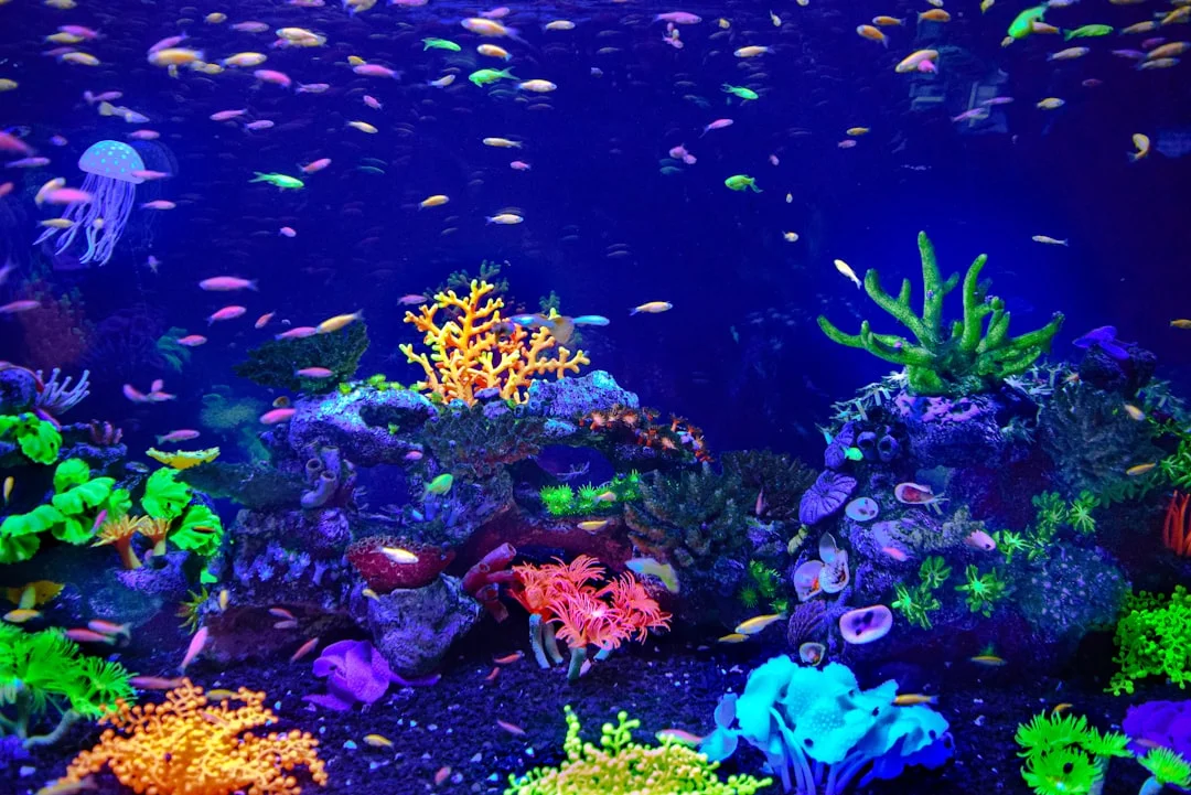 A lush, rimless aquarium filled with vibrant coral colonies, swaying sea fans, and a school of anthias fish under blue LED aquarium lighting, photographed in a modern living room setting